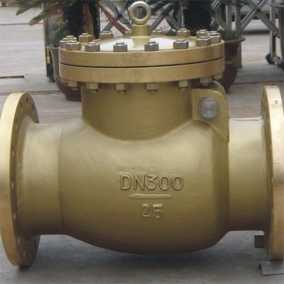 Bronze Check Valve